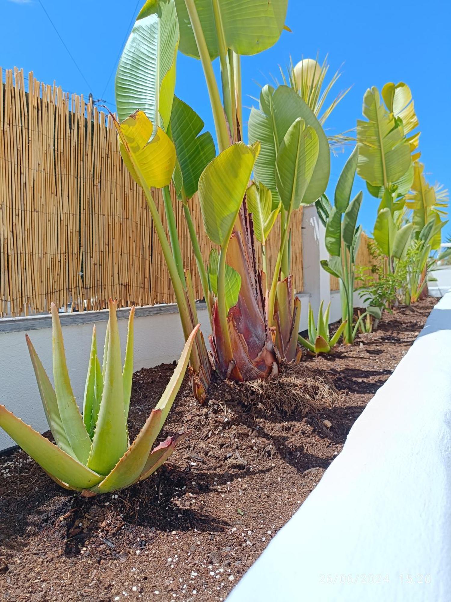Supertubos House Peniche Bed & Breakfast Atouguia Da Baleia Luaran gambar